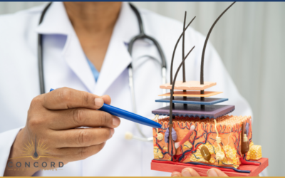 How Much Does a Hair Transplant Cost in Los Angeles in 2026? (Real Pricing Guide)